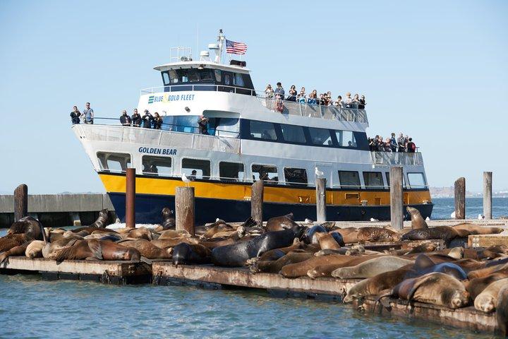 San Francisco Bay Cruise Scenic Tour