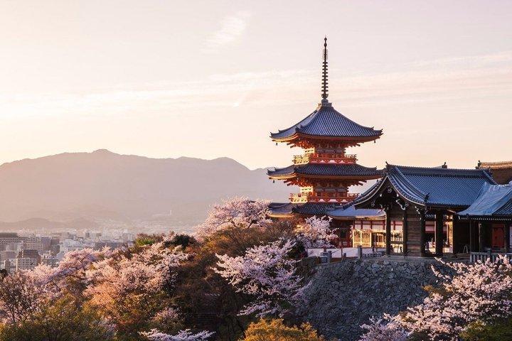 Kyoto Luxury Private Car Tour with Local Guide-Nara&Osaka Options