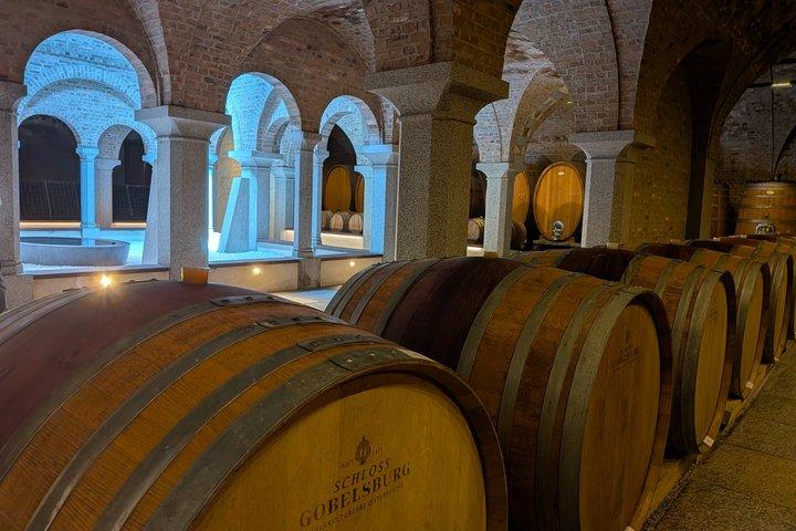 Private Premium Wine Day: 2000 Years of Austrian Wine in Wachau