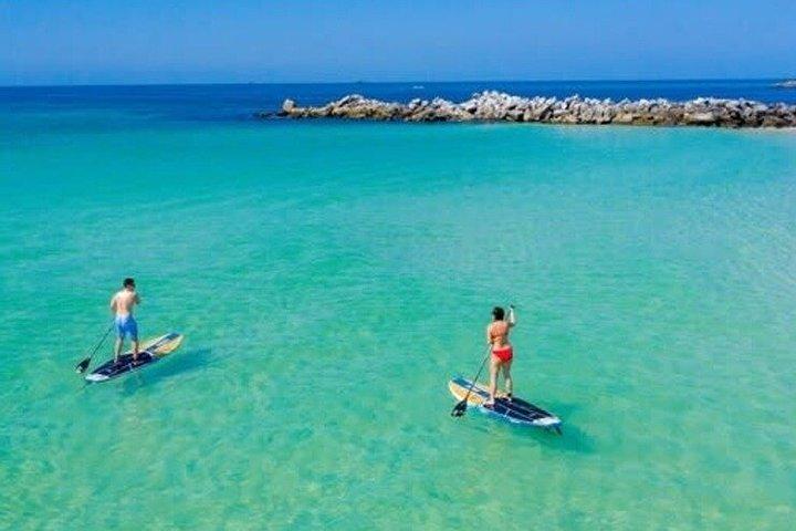 Paddle Board Rental at St. Andrews Jetty Beach
