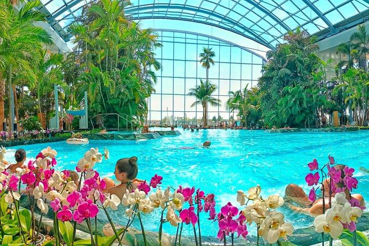 Relax and Fun at Thermal Spa Bucharest (Admission Ticket)