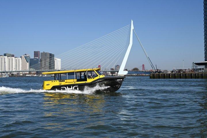 Delft & Rotterdam: Private Day Tour with Private Boat Ride