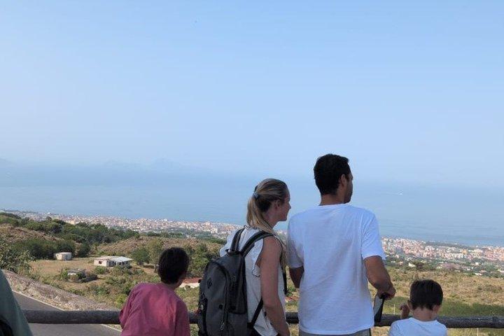 Naples to Pompeii & Mount Vesuvius Skip-the-Line Tour with Tickets