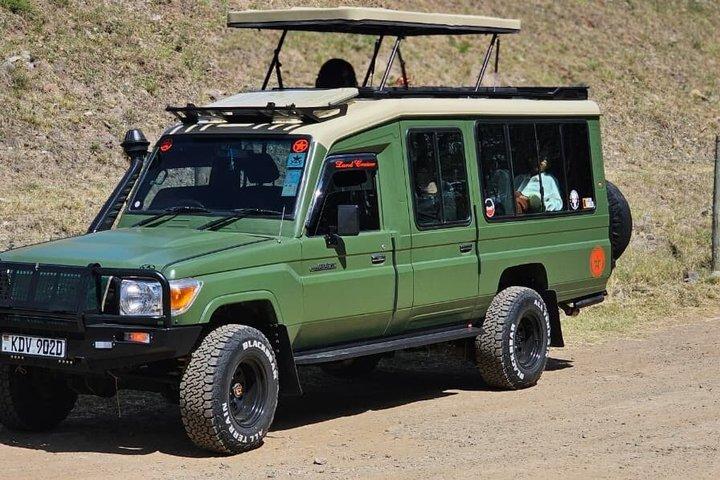 Masai Mara National Reserve 3 Day Tour Experience With 4*4vehicle