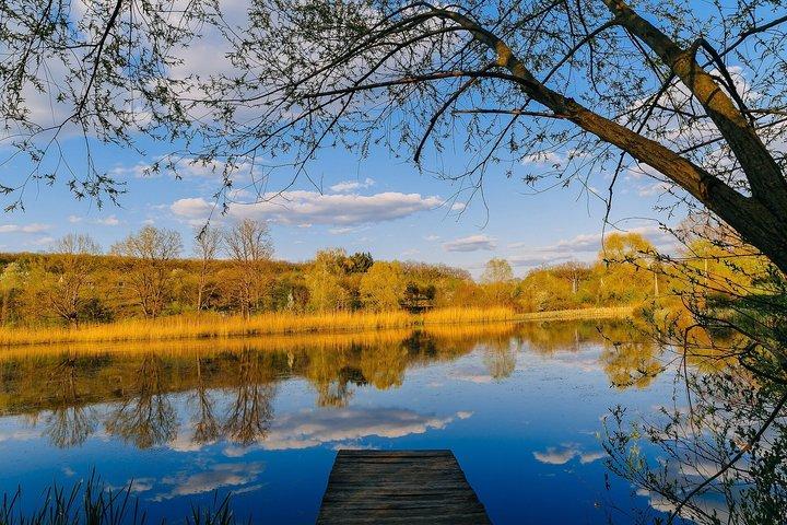 Full day tour to Plaiul Fagului Reserve, Honey & Monastery
