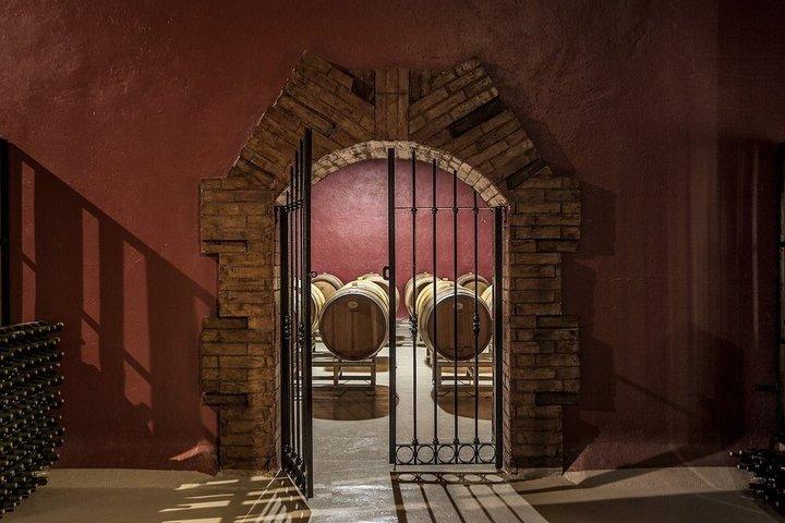 Vineyards Tour in Mendoza: Wine & Olive Oil Tasting Experience
