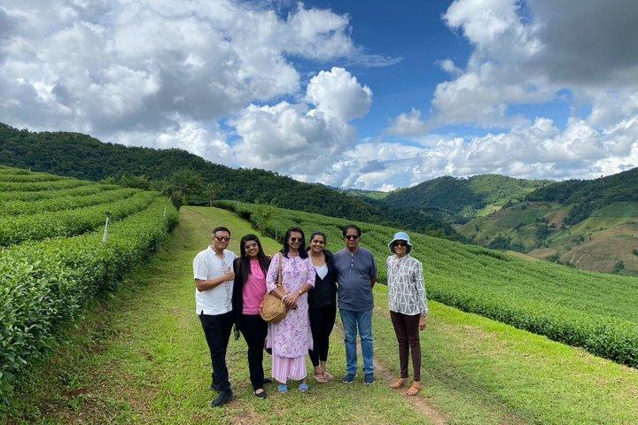 Private Doi Mae Salong and Doi Tung Guided Tour from Chiang Rai