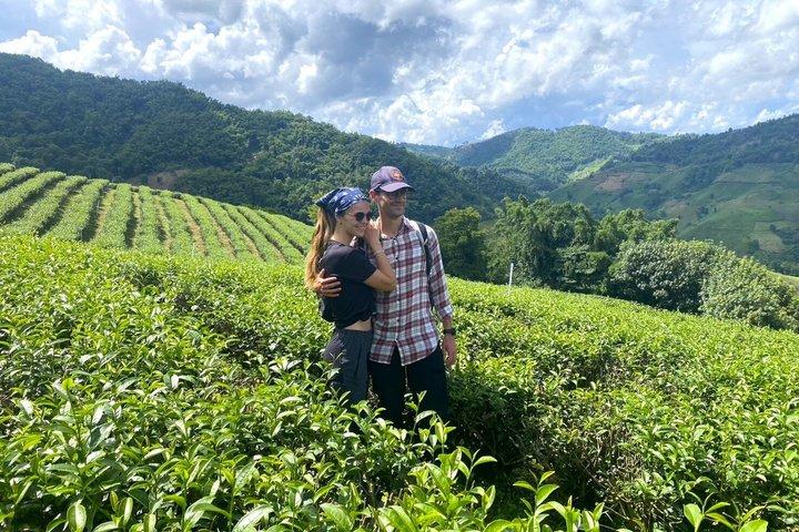 Chiang Rai Private Mountain Tour Doi Mae Salong and Doi Tung