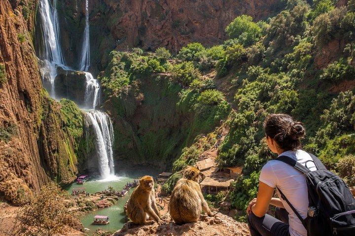Ouzoud Waterfalls Day Trip from Marrakech: Guide & Boat Ride