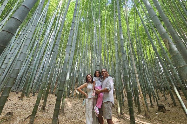Busan Hidden Gems Private Tour with a Licensed Guide