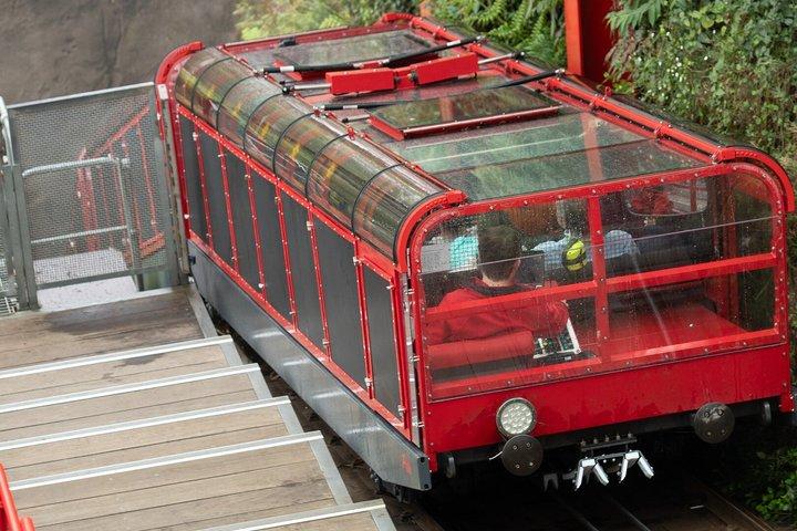 Blue Mountains Private Tour from Sydney: Scenic World & Koalas