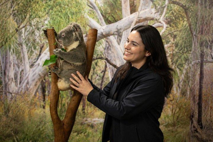 Blue Mountains Private Tour from Sydney: Scenic World & Koalas