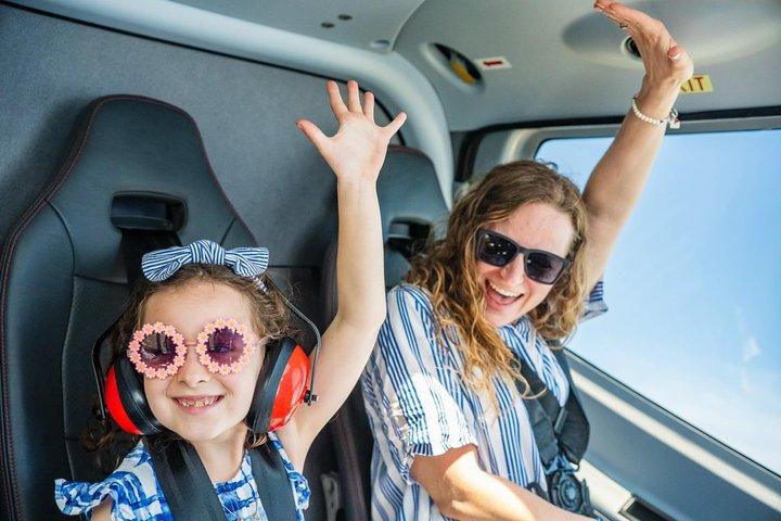 Niagara Falls USA Premium Tour: Helicopter & Maid of the Mist