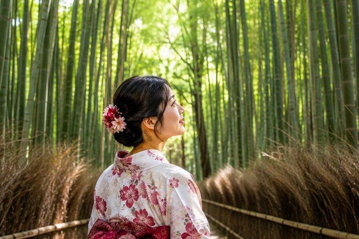 Kyoto Adventures Private English Tour With Hotel Pick Up