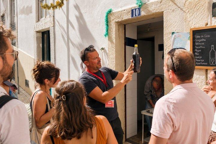 Lisbon Alfama Morning Walking Tour: Old Town & Viewpoints