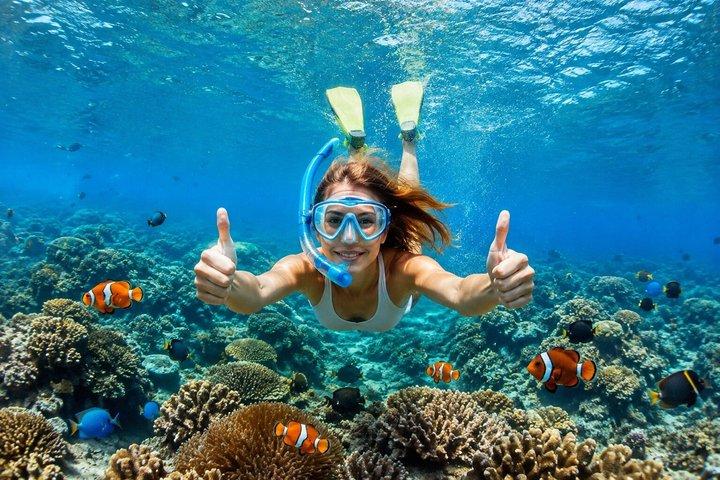 All Inclusive : Bali Blue Lagoon Snorkeling, Lunch, and Transport