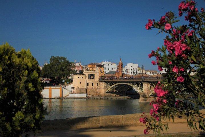 3-hour Guided Bike Tour along the Highlights of Seville