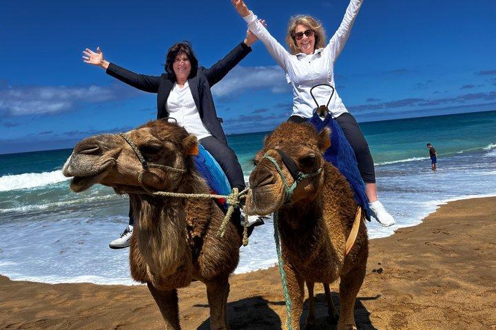 Tangier Shore Excursion Tailored for Cruise Passengers