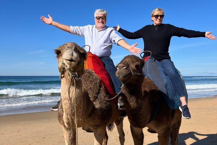 Tangier Shore Excursion Tailored for Cruise Passengers