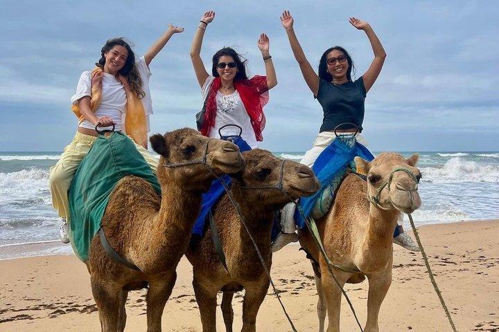 Tangier Shore Excursion Tailored for Cruise Passengers