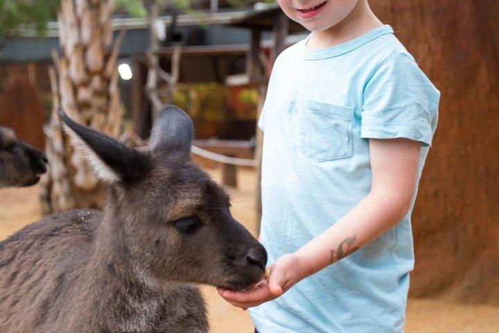 WILD LIFE Sydney Zoo Ticket