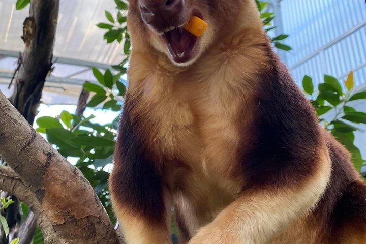 WILD LIFE Sydney Zoo Ticket