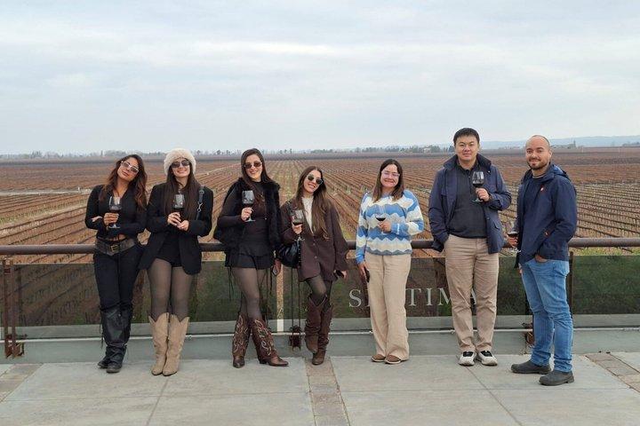 Casa Vigil (the enemy) + 2 wineries + Olivicola
