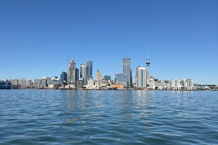 Scenic Harbour Cruise in Auckland