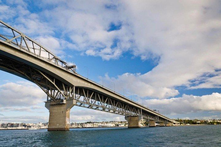 Scenic Harbour Cruise in Auckland