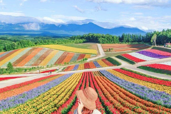 Hokkaido Farm Tomita Shikisai Hill Waterfall& Blue Pond Day Tour