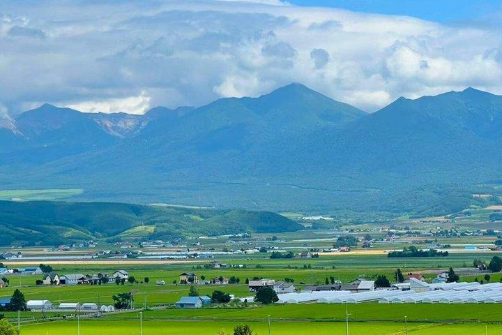 Hokkaido Farm Tomita Shikisai Hill Waterfall& Blue Pond Day Tour