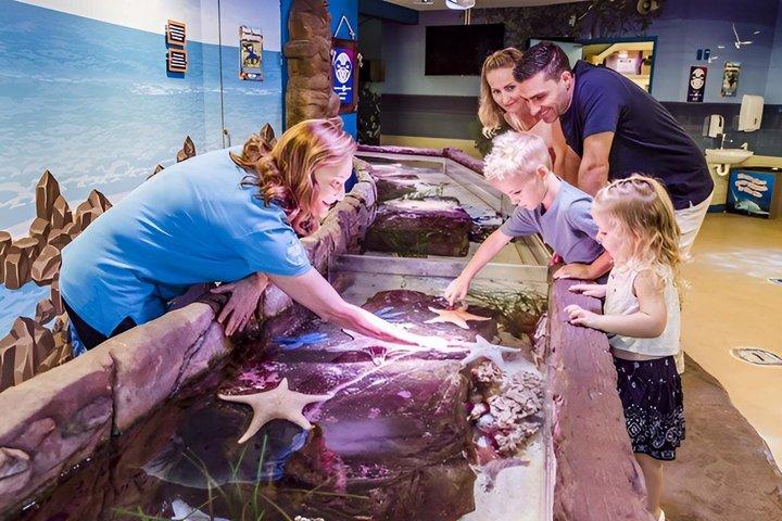 SEA LIFE Sunshine Coast Aquarium Entrance Ticket