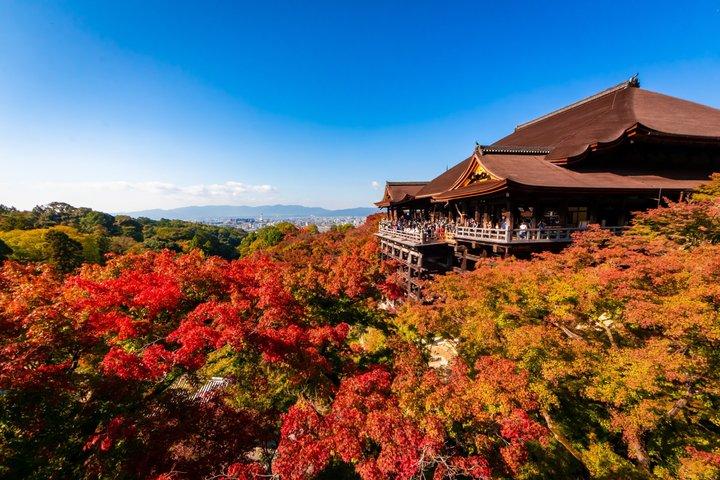 Kyoto Guided Walking Tour Highlight of Kiyomizu & Fushimi Inari