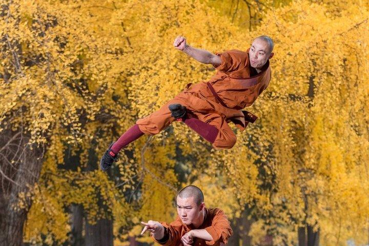 Luoyang Private Day tour to Longmen Grottoes and Shaolin temple