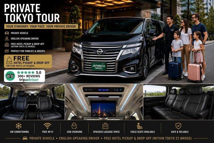 Private Tokyo Tour with English Speaking Driver and Hotel Pickup