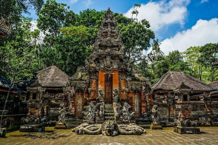 Ubud Private Tour - All Inclusive Premium Experience