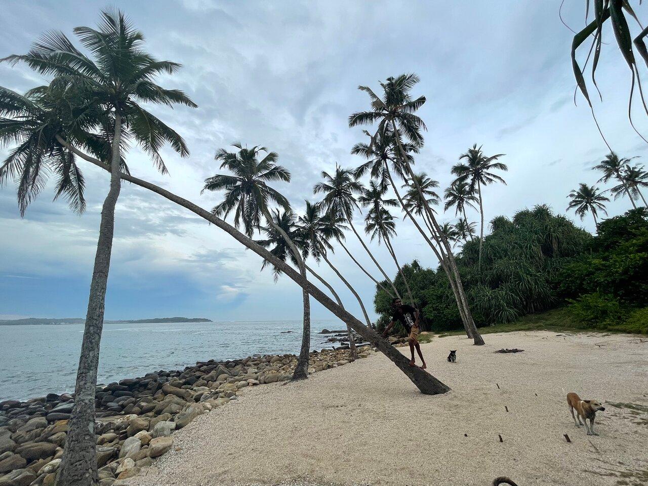 Review photo