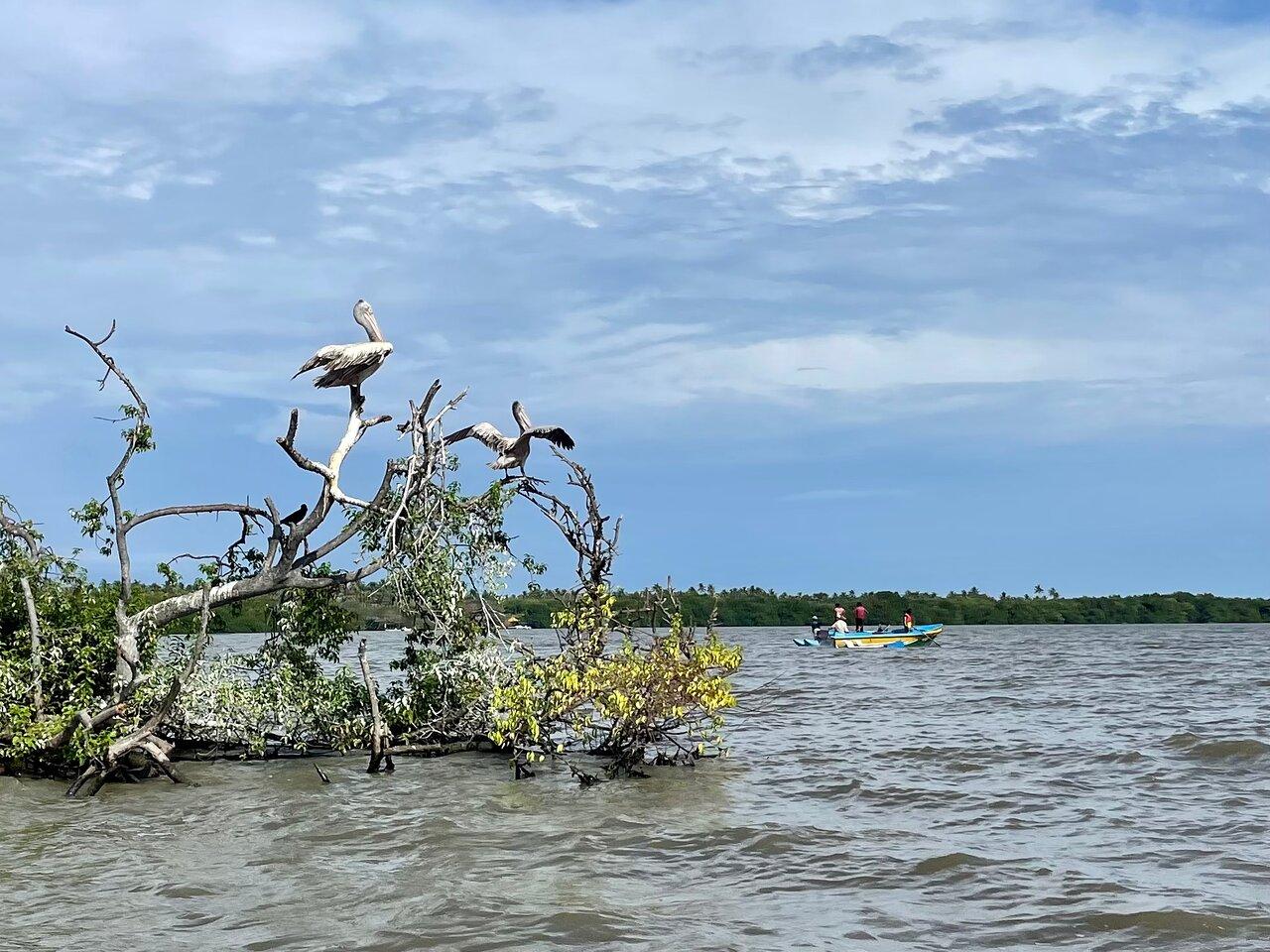 Review photo