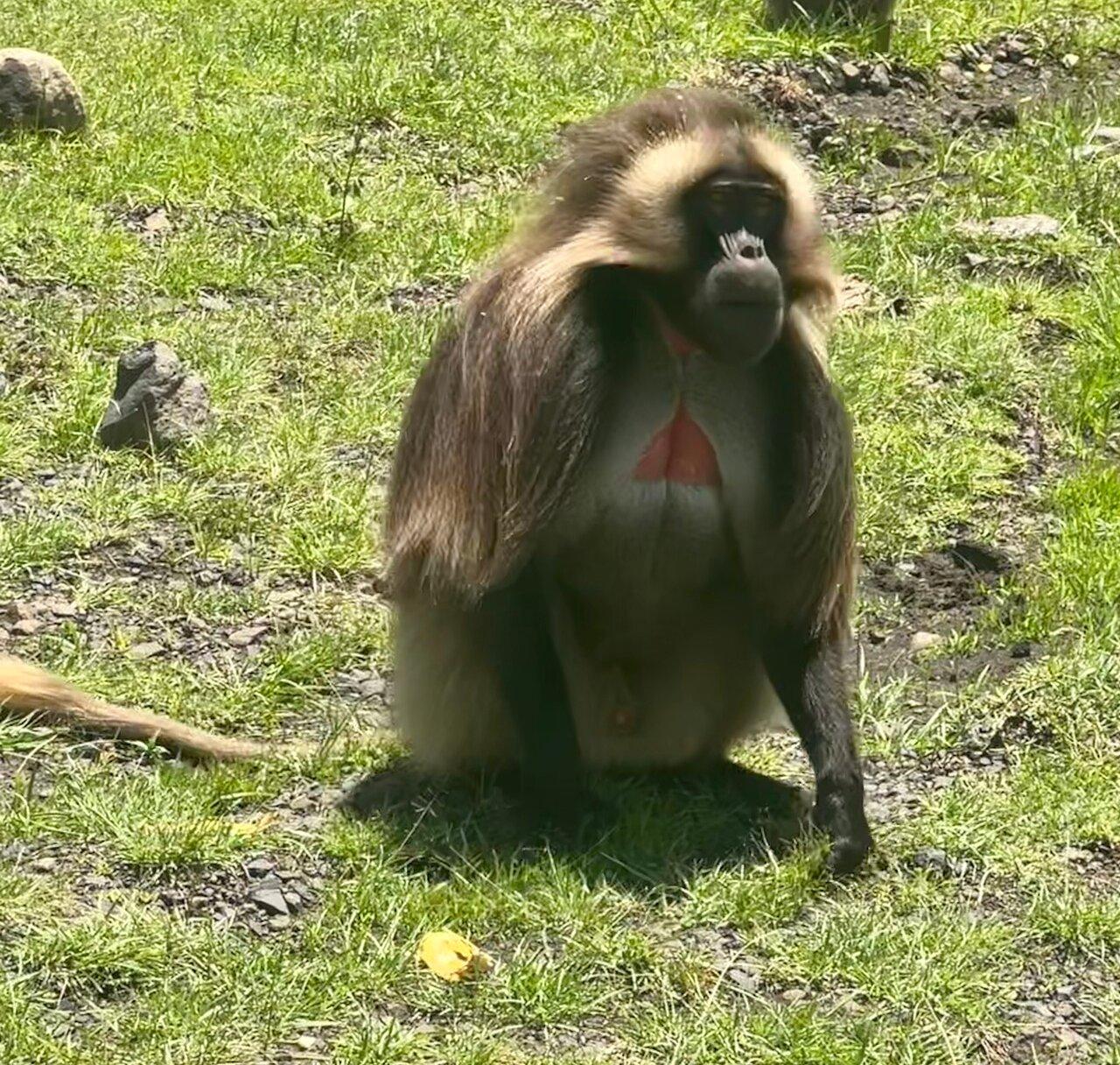 Review photo