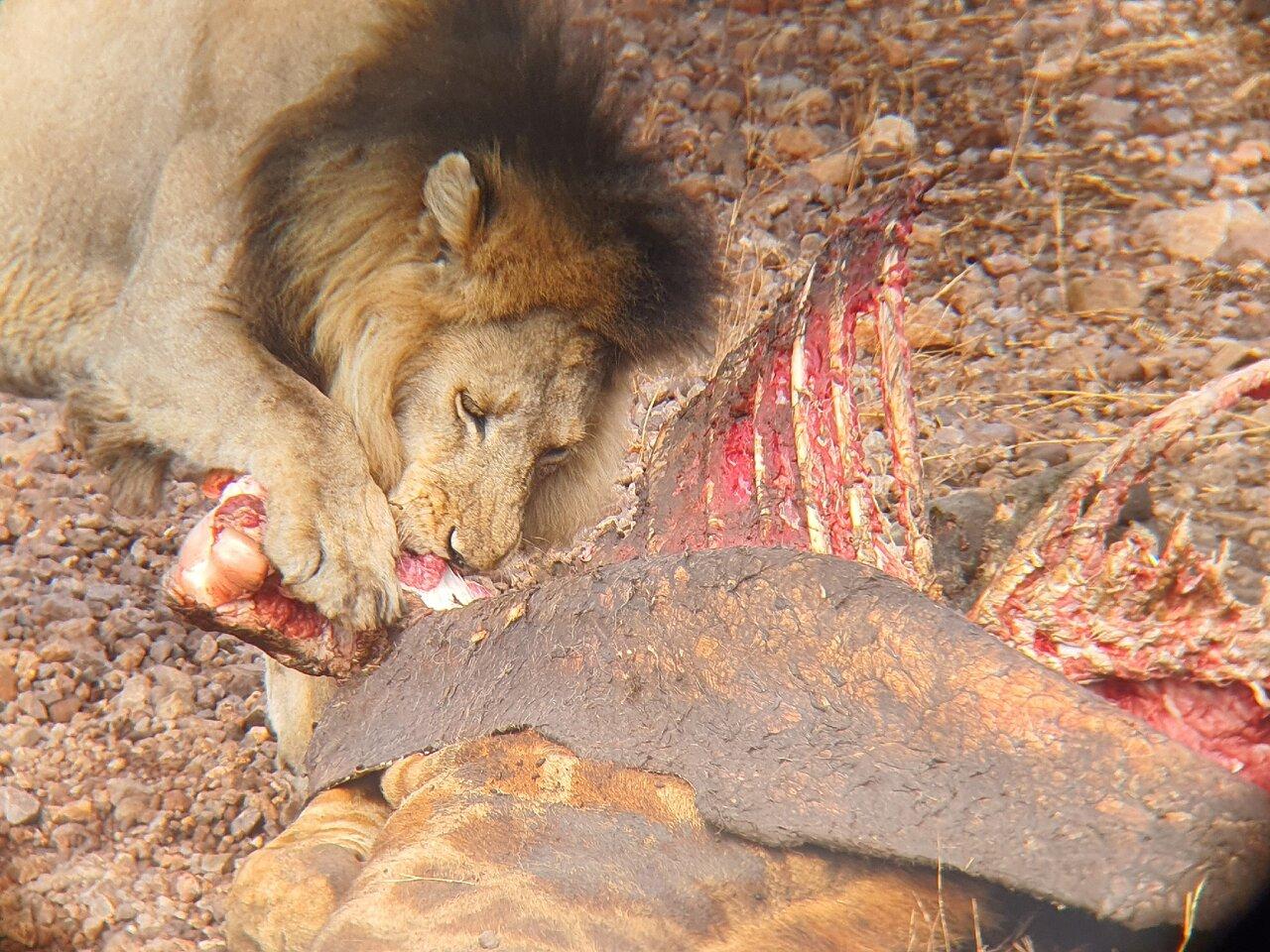Review photo