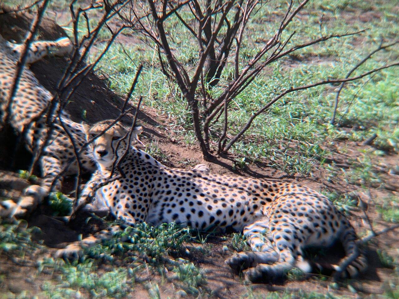 Review photo