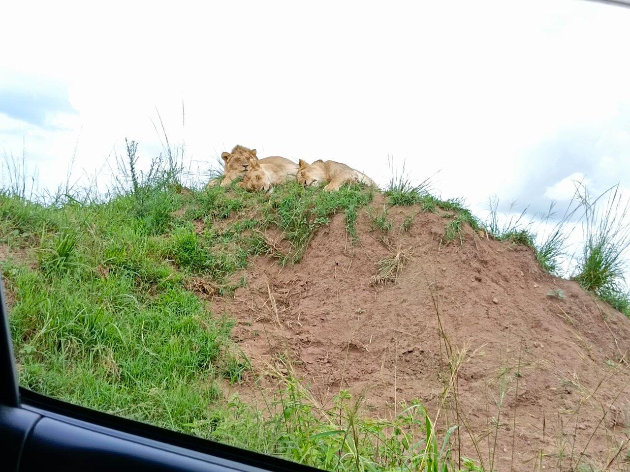 Review photo