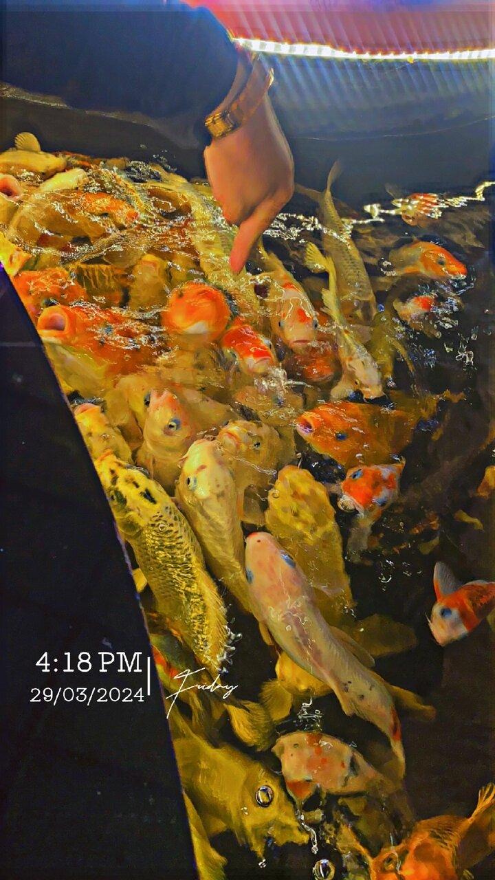 Review photo