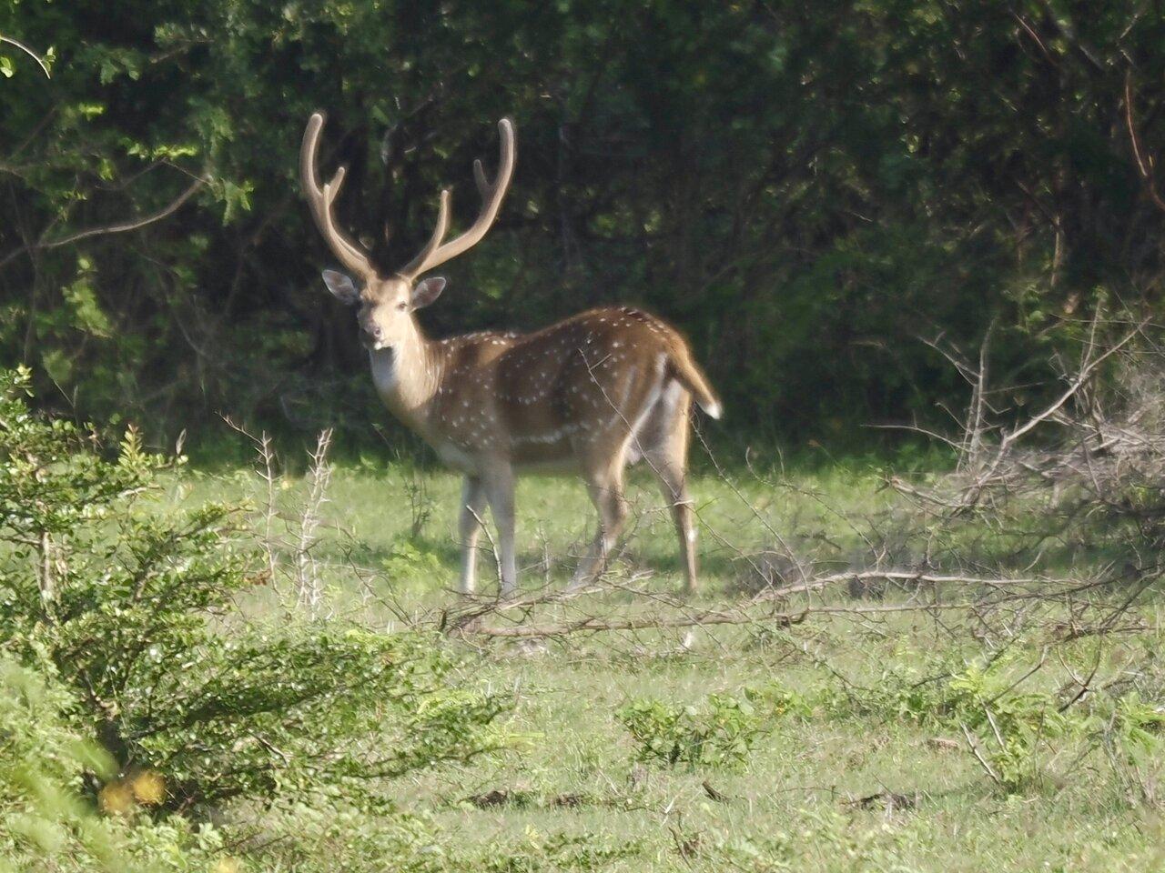 Review photo