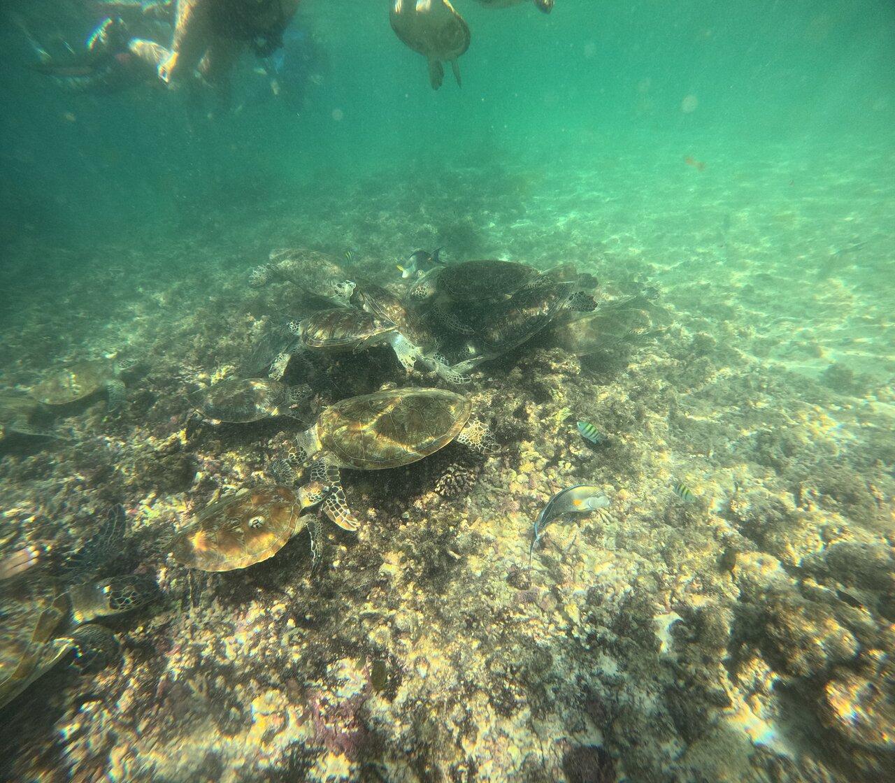 Review photo