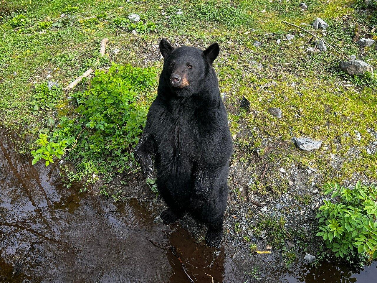 Review photo