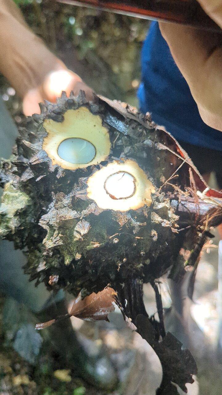 Review photo