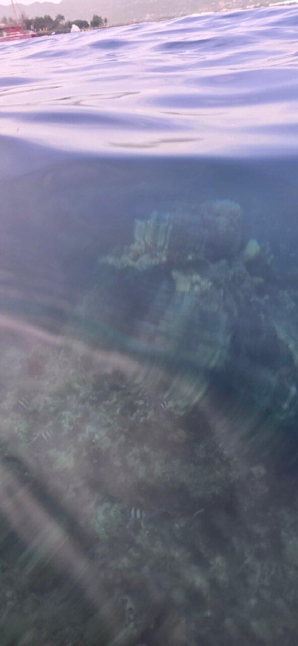 Review photo