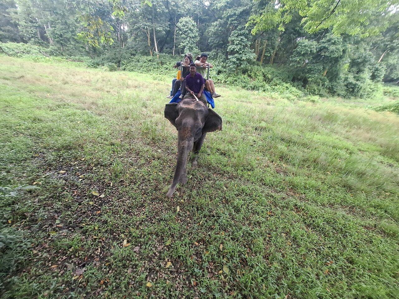 Review photo
