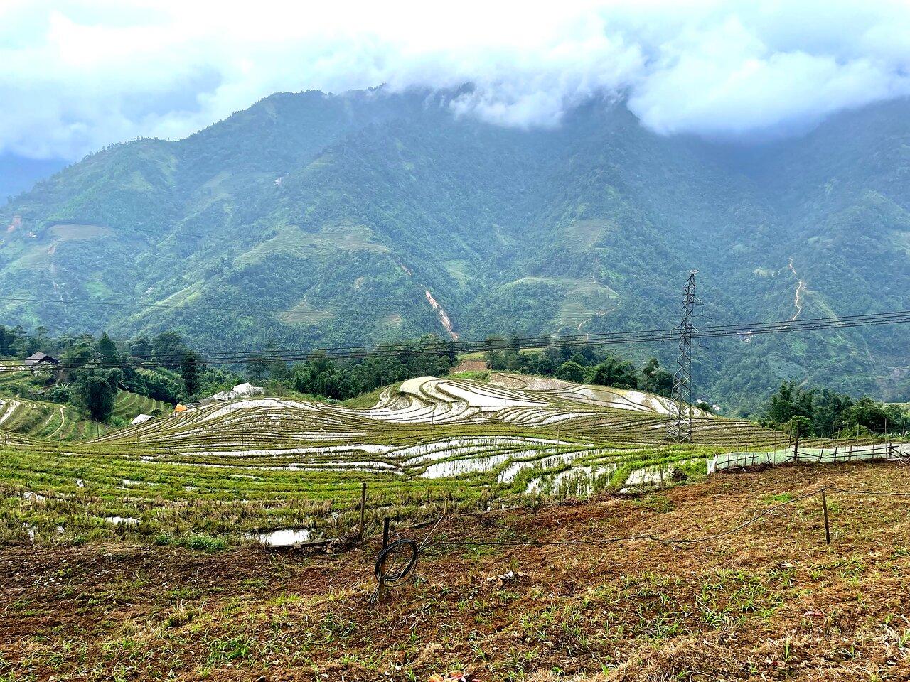 Review photo
